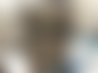 Una libreria che resiste: quando la formazione diventa libertà