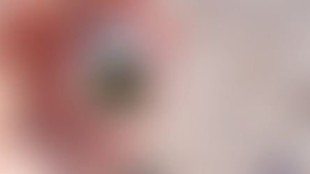 Il nuovo Tamagotchi - quando diventare adulti assomiglia a un videogioco