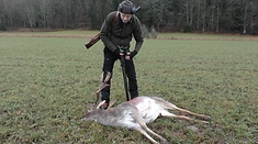 Drevjakt med allt från dovskovel till grävling!