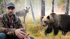 Viltsamverkan i brandens spår