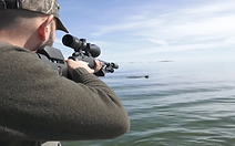 Varför jagar man säl? - Säljakt med Jompen och Danne