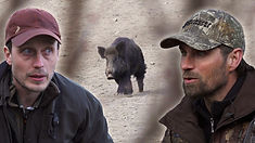 Pierre & Filip jagar vildsvin!