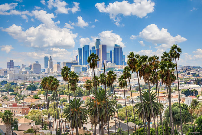 Beautiful cloudy day of Los Angeles downtown skyline and palm trees in foreground.jpg