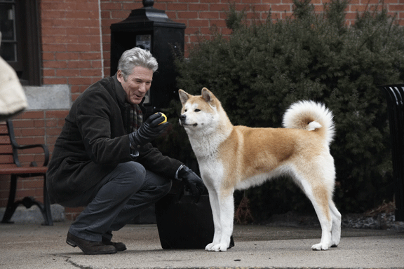 Dogs at the movies: filmavond