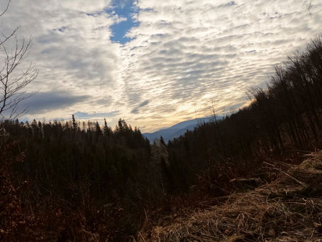 Solo #SundayRide notching up 48km