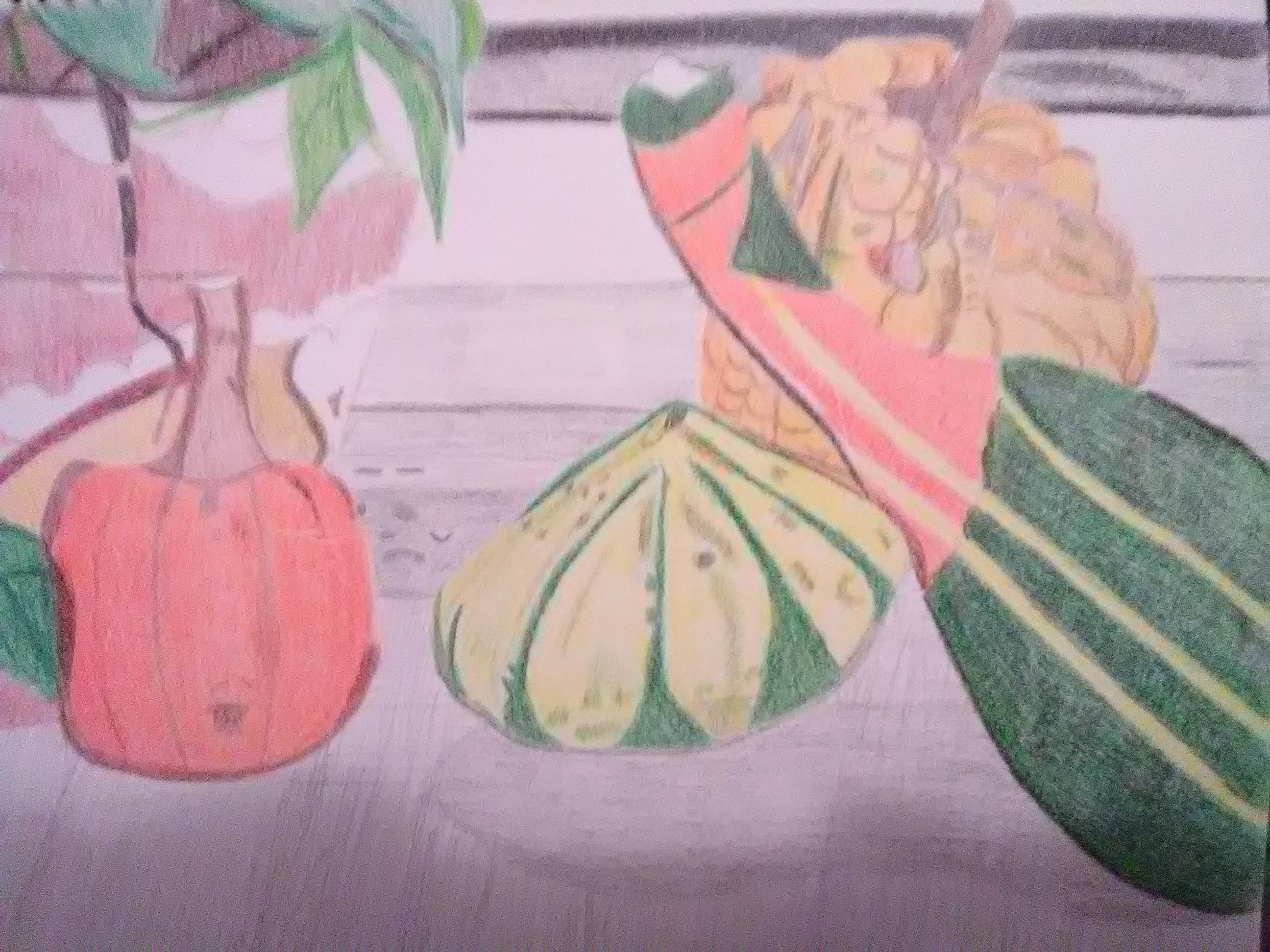 Drawing in Colored Pencils