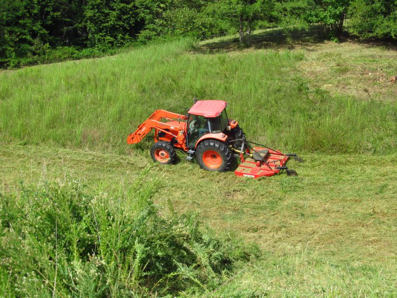 PastureMowing