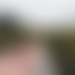 Nachdenken über Nachhaltigkeit: Versuch, einem Unbehagen auf die Spur zu kommen