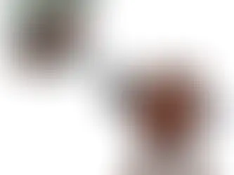 BioShock Second Wave Funko Pops Review