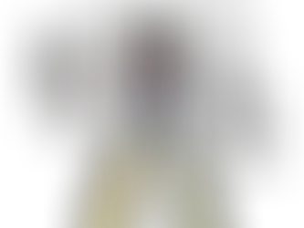 January Transformers Toy Round Up