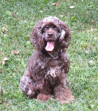 Pretty Girl 10-22-23 (a) copy_edited.jpg