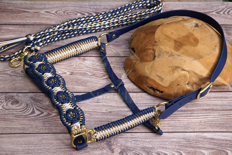 Miniaturbild: Paracord-Biothane®-Halfter-Set "Aztec Snake", Warmblut