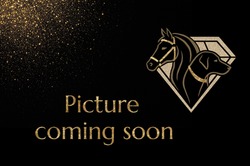 Picture coming soon