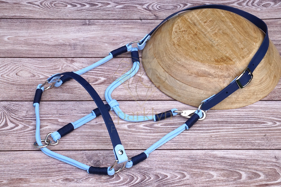 Miniaturbild: Tauwerk-Biothane®-Halfter-Set "Sparklyn Legacy", Warmblut