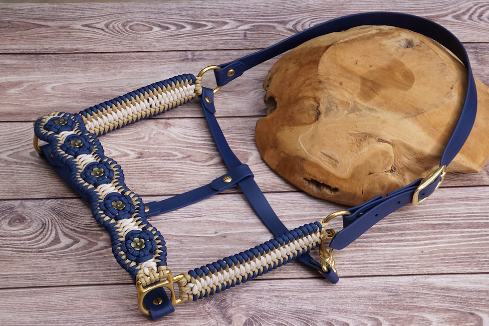 Miniaturbild: Paracord-Biothane®-Halfter-Set "Aztec Snake", Warmblut