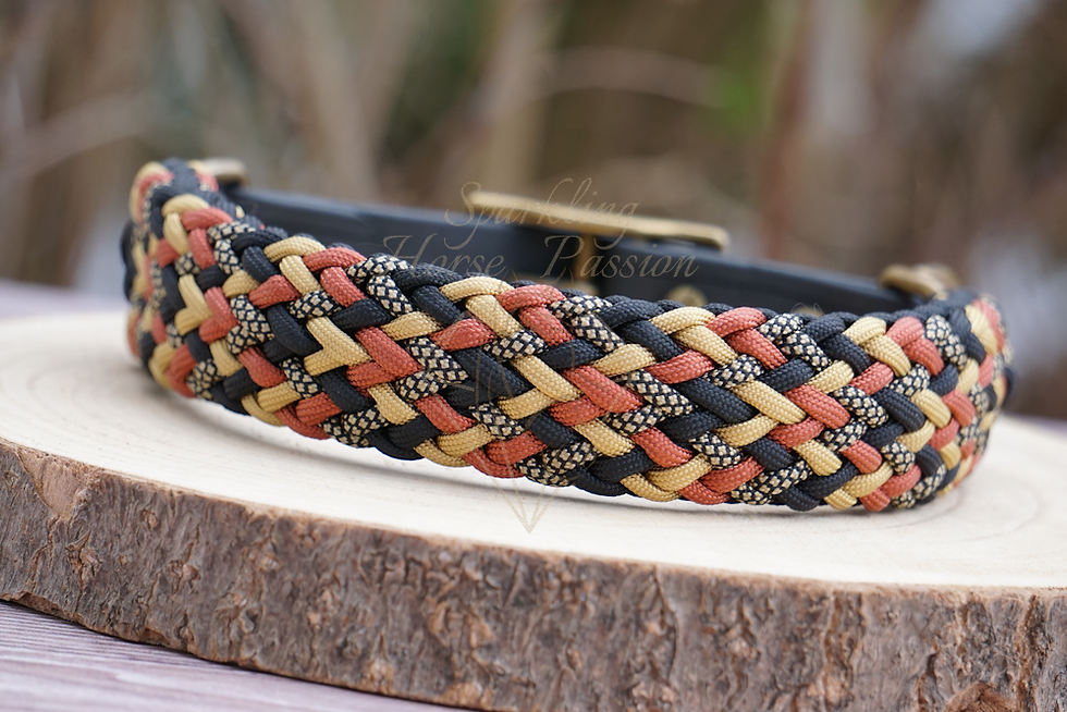 Miniaturbild: Halsband-Set "Color Explosion", 40-45 cm