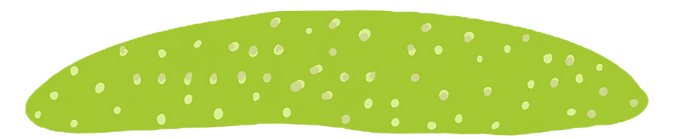 Untitled_Artwork_edited.png
