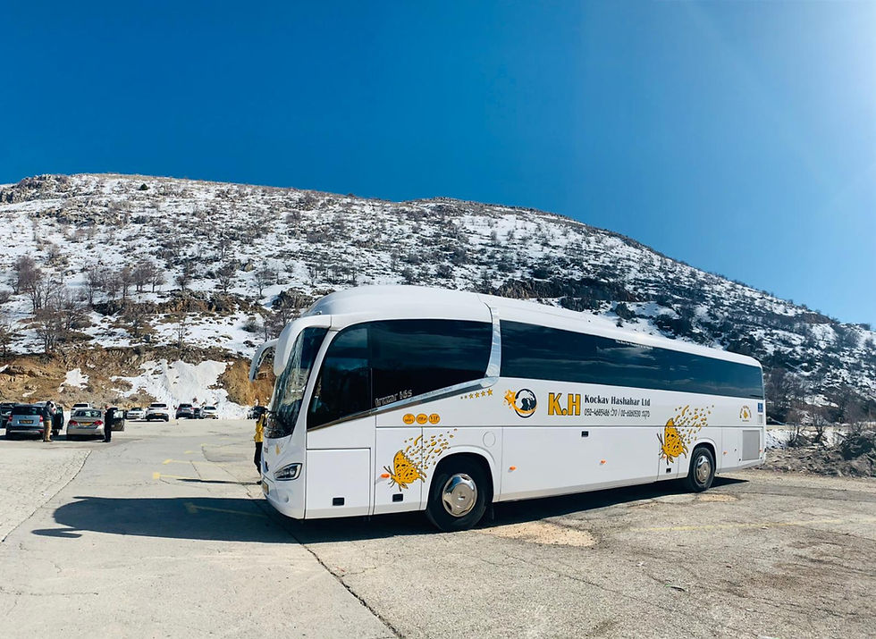 big buss
