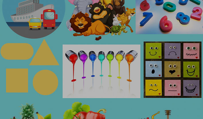 נושאים כלליים_edited.jpg