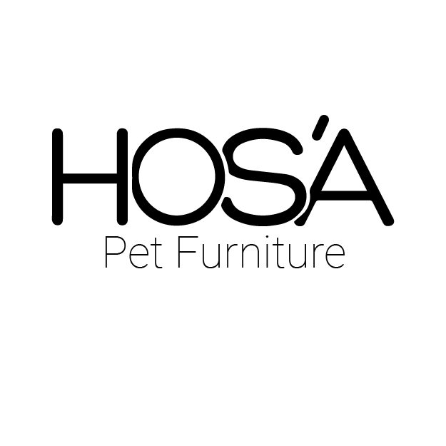 logo web site idan-12
