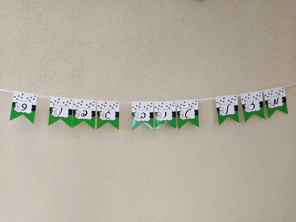 תמונה ממוזערת: שרשרת דגלים - עיצוב אישי (1 יח')