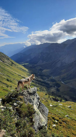 HEAVEN côté col du Glandon