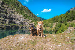 Marcel et Keïko au petit lac secret