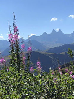 paysages été