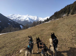 En ballade vers la Ramettaz au dessus de la maison