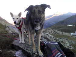 DOUCHKA et INKA