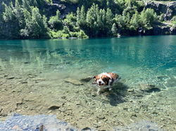 Rubis en séance de natation dans le petit lac secret