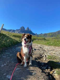 Rubis sur la route des Aiguilles d'Arves