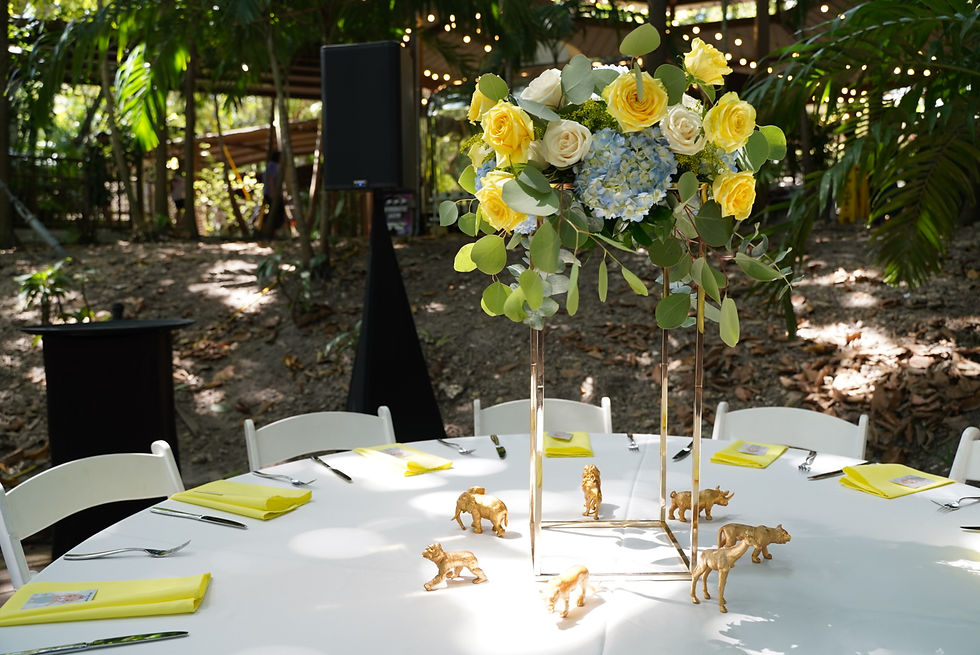 audio equipment rental for your event