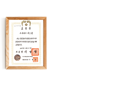 p01_03신-성장사업대상-대통령상장.png