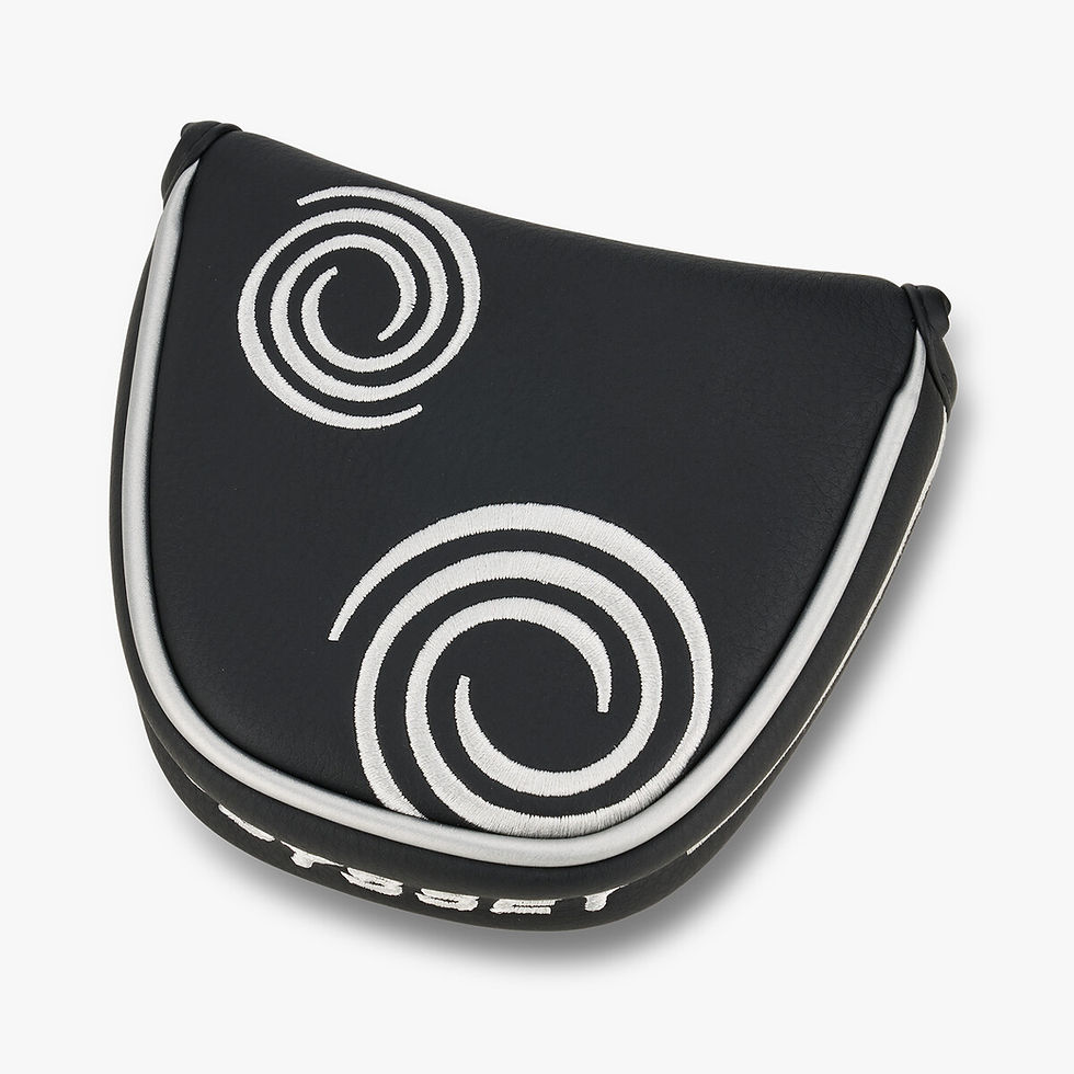 Miniatura: Putter Odyssey Microhinge V-Line 2Ball RH