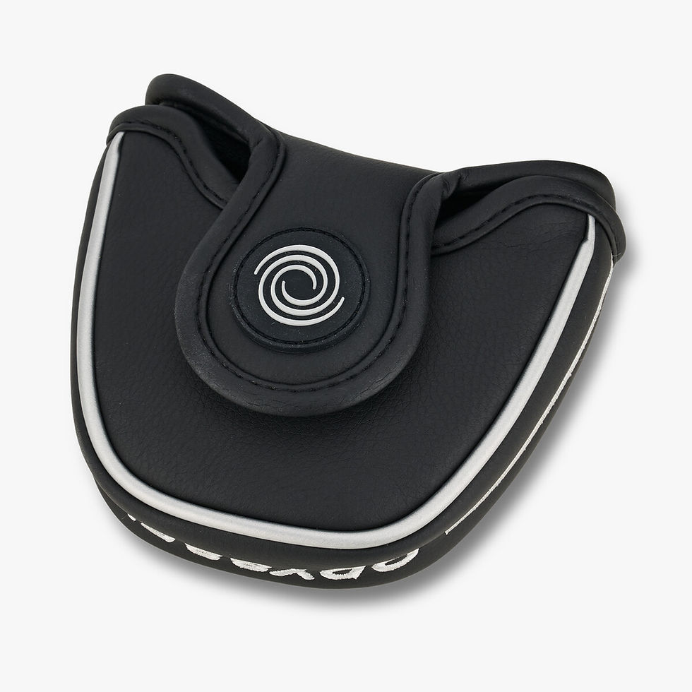 Miniatura: Putter Odyssey Microhinge V-Line 2Ball RH