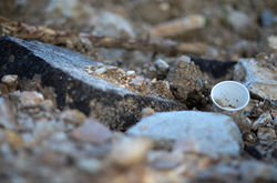 Quartier_les_hauts_de_Massane_vu_par_les_jeunes_de_la_5ème_D_33