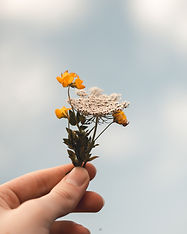 isaac-mehegan-sVRSQNPJMq4-unsplash (1)_edited.jpg