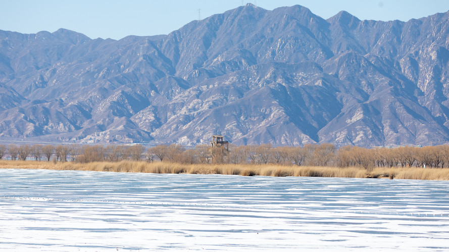 Ch. Landscape 25.jpg