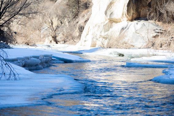 Ch. Landscape 14.jpg