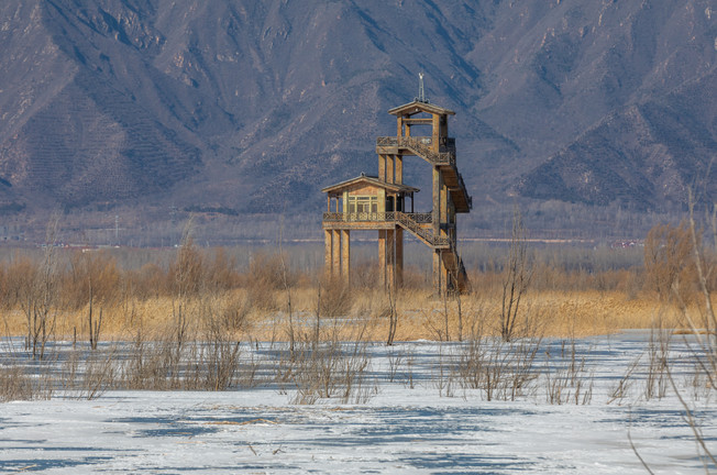 Ch. Landscape 20.jpg