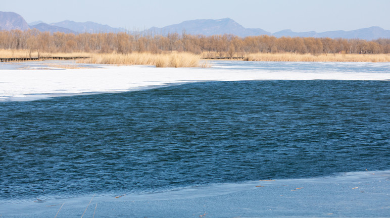 Ch. Landscape 22.jpg