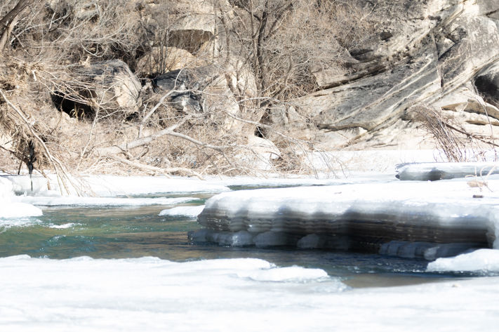 Ch. Landscape 13.jpg