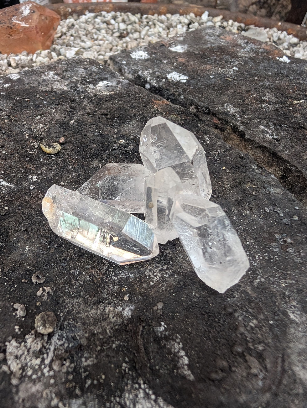 Thumbnail: Crow skull locket and crystal  