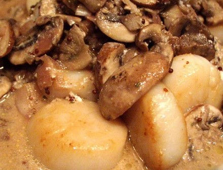 Scallots in Champagne Sauce Recipe