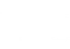 ame PRO.webp