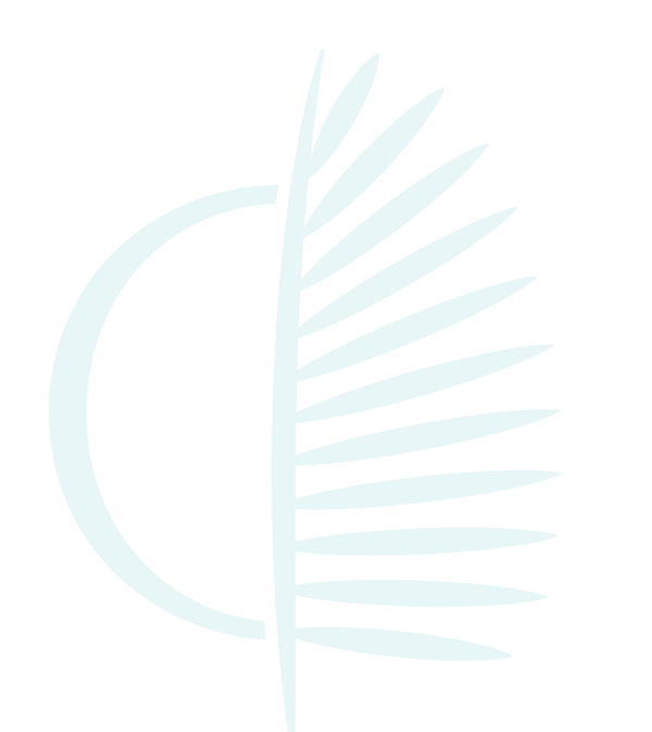 Lagoon-palm.png