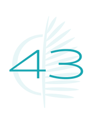 43_4x.png