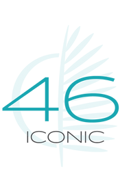 46 ICONIC_4x.png