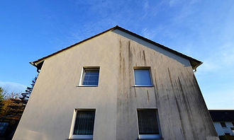 WhatsApp Image 2025-09-09 at 17.22.43 (1).jpeg